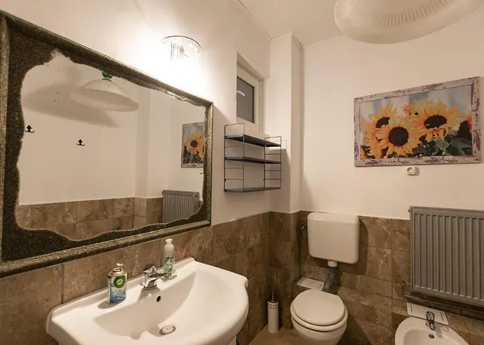 Guest house Rustic Brasov